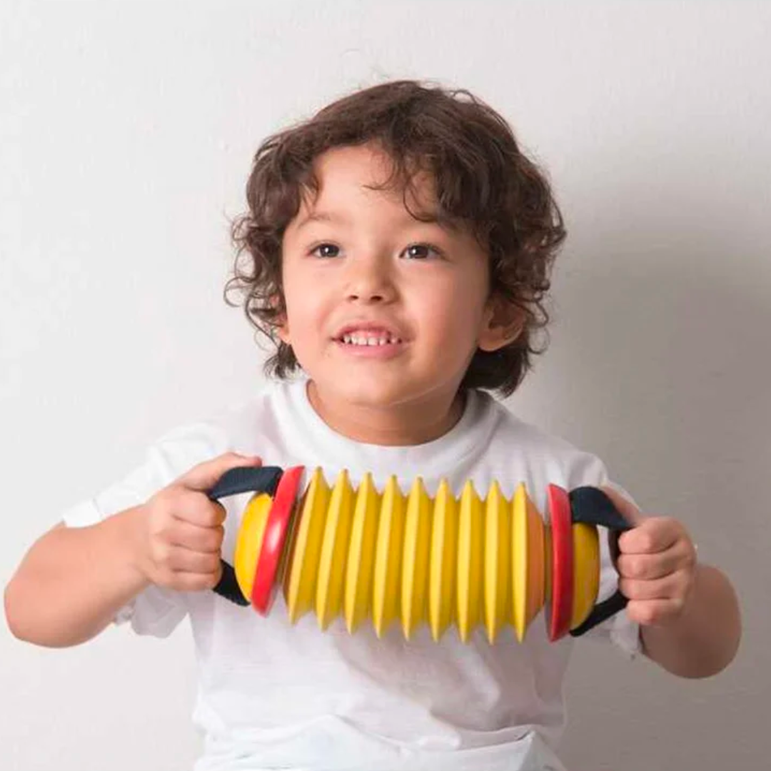 Concertina