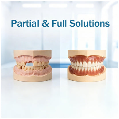 Feimuko Dental Plaster Model Kit
