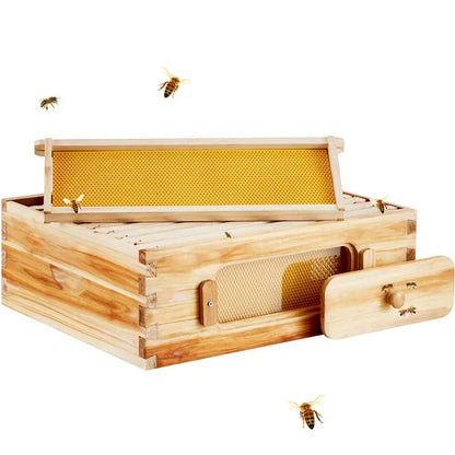 Bee Hive Medium Box Starter Kit, 100% Beeswax Coated Natural Fir Wood, Langstroth Beehive Kit with 10 Frames and Foundations, Transparent Acrylic Bee Windows for Beginners and Pro Beekeepers