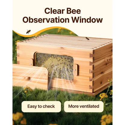Bee Hive Medium Box Starter Kit, 100% Beeswax Coated Natural Fir Wood, Langstroth Beehive Kit with 10 Frames and Foundations, Transparent Acrylic Bee Windows for Beginners and Pro Beekeepers