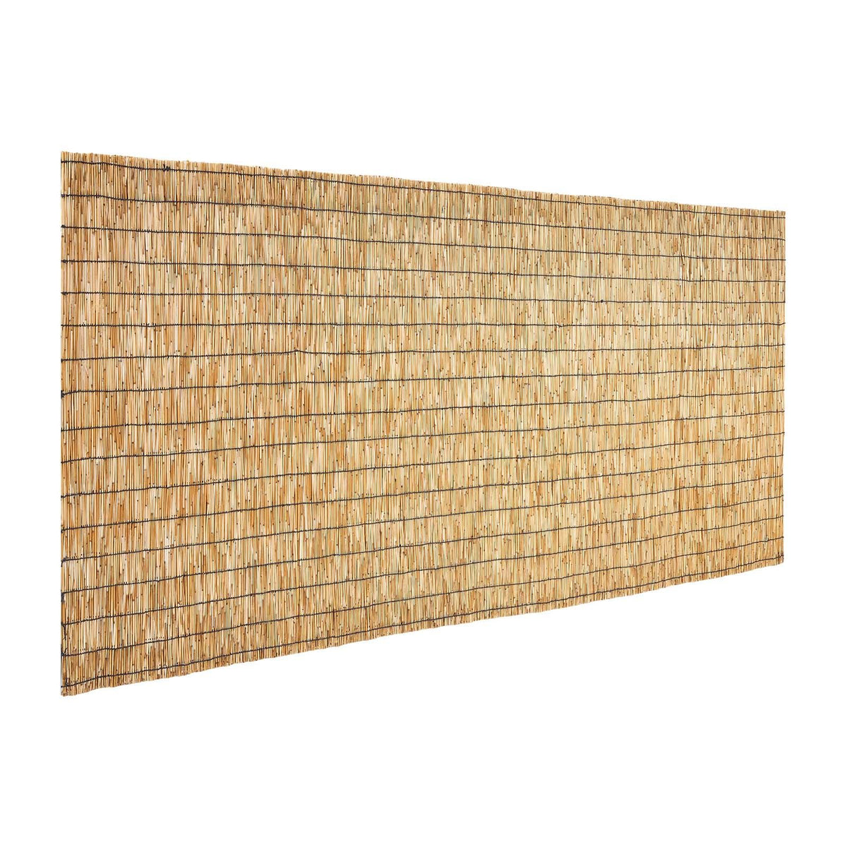 560736921