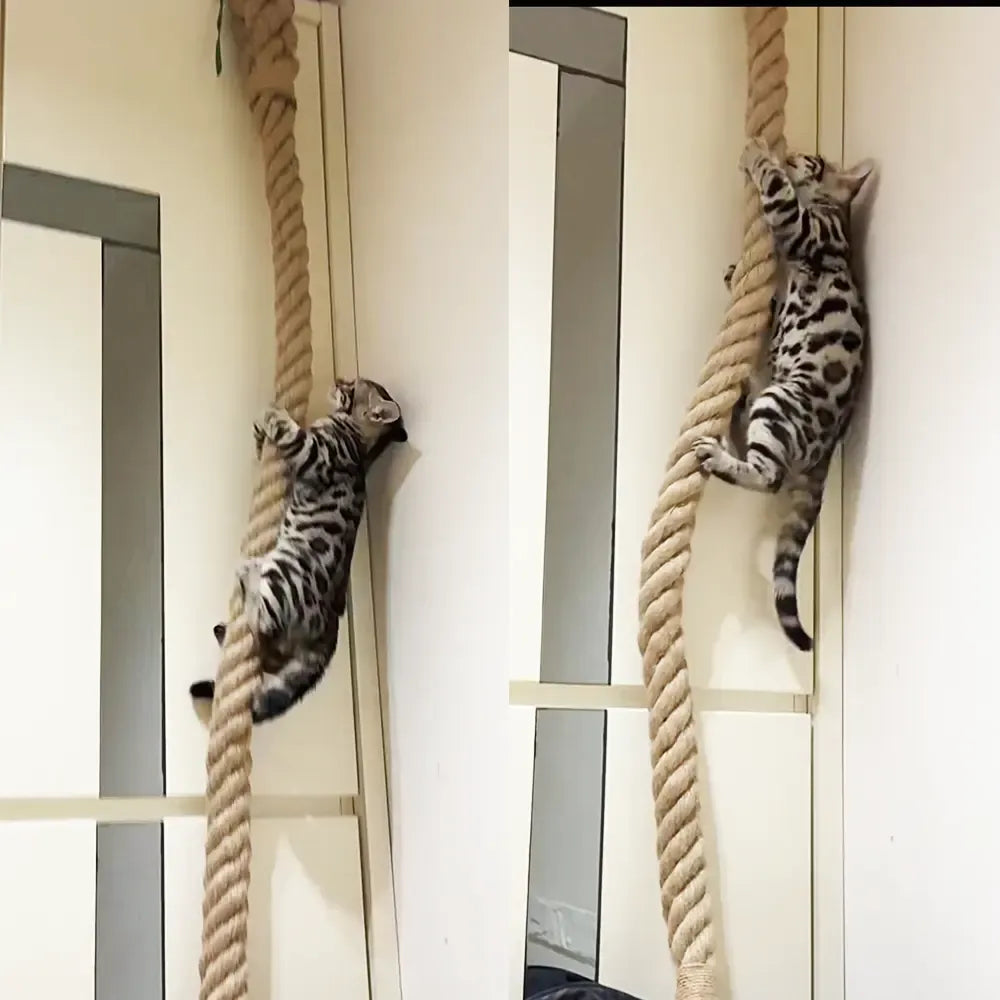 Wall-Mounted 4-6ft Sisal Cat Climbing Rope, Space Saving Wall Cat Scratching Post